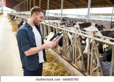 Agriculture Industry, Farming, People, Technology And Animal Husbandry Concept - Young Man Or Farmer With Tablet Pc Computer And Cows In Cowshed On Dairy Farm