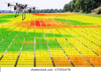 Agriculture Industry Farming Technology And Digital Crops Monitoring