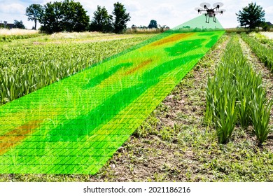 Agriculture Industry Farming Technology And Digital Crops Monitoring