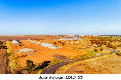 Agriculture Industry And Grain Storage Elevator Piles In Rural Regional Moree Town Of Australia - Aerial Landscape.