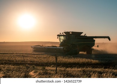 Agriculture Machinery Harvesting Crop. Australian Horticulture Rural Landscape, Farm Work At Sunset.