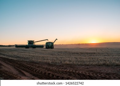 Agriculture Machinery Harvesting Crop. Australian Horticulture Rural Landscape, Farm Work At Sunset.