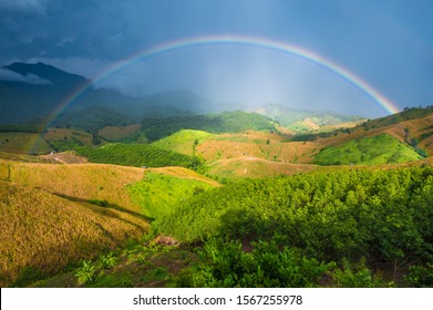 Agriculture on the hill with rainbow - Shutterstock ID 1567255978