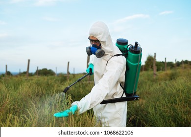 Agriculture Pest Control - Worker In Protective Work Wear In Weed Control And Spraying Ambrosia On Field. 