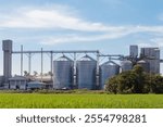 agriculture rice grain storage silos and food production factory on a green rice field with blue sky.