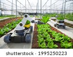 Agriculture robotic and autonomous car working in smart farm, Future 5G technology with smart agriculture farming concept