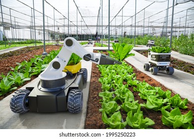 Agriculture robotic and autonomous car working in smart farm, Future 5G technology with smart agriculture farming concept - Shutterstock ID 1995250223