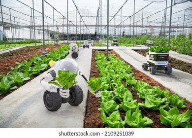 Agriculture robotic and autonomous car working in smart farm, Future 5G technology with smart agriculture farming concept - Shutterstock ID 2109251039