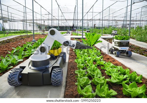 Agriculture robotic and autonomous car working in\
smart farm, Future 5G technology with smart agriculture farming\
concept