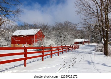 Agriculture And Rural Life At Winter Background.Rural Landscape With Red Barn, Wooden Red Fence And Trees Covered By Fresh Snow In Sunlight. Scenic Winter View At Wisconsin, Midwest USA, Madison Area.