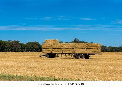 Agriculture Scene. Farmers Trailer Loaded With Haystacks, Hay Bales On A Golden Field Against Australian Rural Landscape And Blue Sky On The Background. Copy Space.