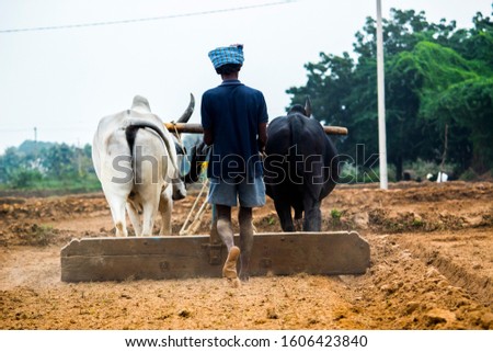 Agriculture is the science and art of cultivating plants and livestock. Agriculture was the key development in the rise of sedentary human civilization.