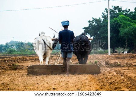 Agriculture is the science and art of cultivating plants and livestock. Agriculture was the key development in the rise of sedentary human civilization.