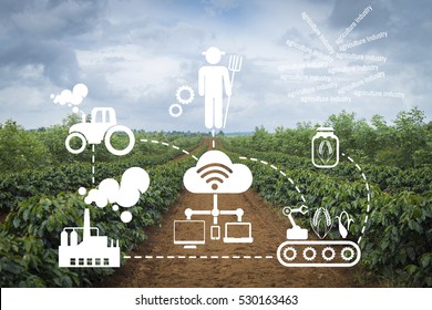 Agriculture Technology Agritech System Icons Coffee Plantation In Pakse  Laos