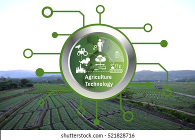 Agriculture Technology Agritech System On Green Icon On Background Vegetable Garden On Way To Go Angkhangstation