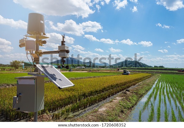 Agriculture technology,\
artificial intelligence (AI) concepts, Smart farmer use smart farm\
wireless control agricultural machinery replace worker and increase\
precision.
