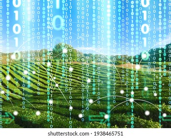 Agriculture And Technology Concept. Agritech. Green Field Landscape