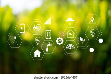 agriculture technology concept man Agronomist Using a Tablet in an Agriculture Field read a report - Shutterstock ID 1913664457