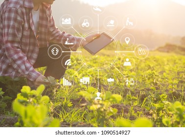 Agriculture technology farmer man using tablet computer analysis data and visual icon. - Shutterstock ID 1090514927
