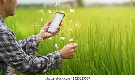 Agriculture Technology Farmer Man Using Smartphone Analysis Data And Visual Icon.