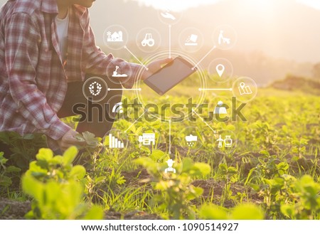 Agriculture technology farmer man using tablet computer analysis data and visual icon.