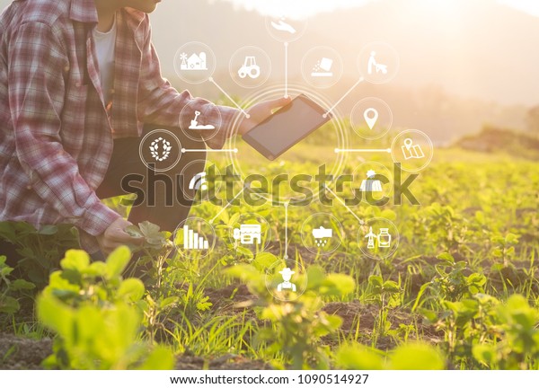 Agriculture technology farmer man using\
tablet computer analysis data and visual\
icon.