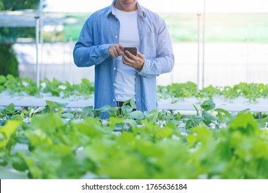 Agriculture Technology Farmer Person Using Tablet Computer, Young Beautiful Asian Female Organic Farmer Using A Digital Smart Phone Tablet Device Inside An Agricultural Plant Farm.