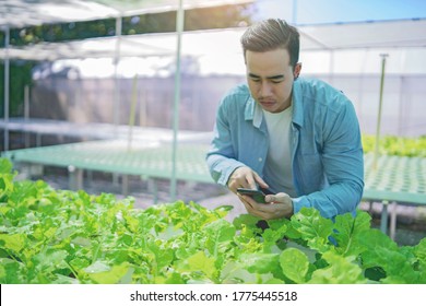 Agriculture Technology Farmer Person Using Tablet Computer, Young Beautiful Asian Female Organic Farmer Using A Digital Smart Phone Tablet Device Inside An Agricultural Plant Farm.