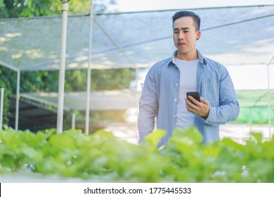 Agriculture Technology Farmer Person Using Tablet Computer, Young Beautiful Asian Female Organic Farmer Using A Digital Smart Phone Tablet Device Inside An Agricultural Plant Farm.