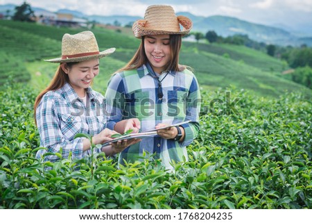 Agriculture technology farmer woman holding freshly harvested tea leaves and using tablet computer analysis  data