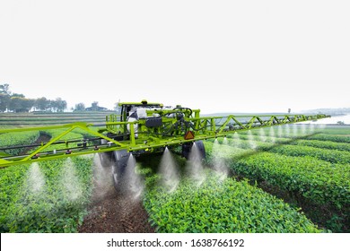 Agriculture tractor spraying fertilizer on green tea fields, Technology smart farm concept