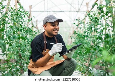 Agriculture uses production control tablets to monitor quality vegetables at greenhouse. Smart farmer using a technology for studying and development agricultural. - Shutterstock ID 2227618005