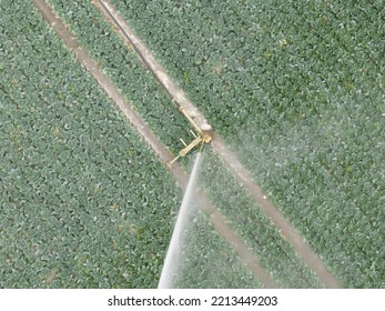 Agriculture Watering Of Fields Crops Sprinkler Water Installation Overhead Aerial View Of Farm Land Fields Drought Technology Farming. Growing Food Industry.