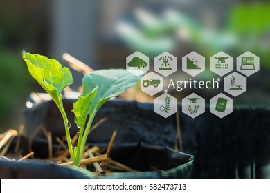 Agritech Concept. Agritech Messages And Icons On Organic Vegetables Farm.