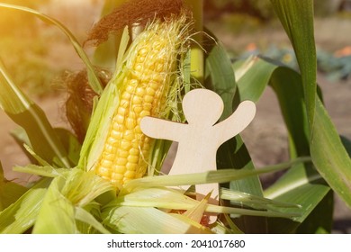 Agro economy concept. Near the yellow corn stands a figurine of a wooden man with a raised hand. - Powered by Shutterstock