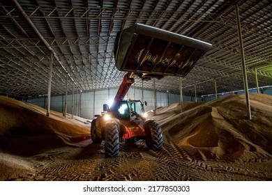 Agro Manufacturing Plant. Excavator With Wheat Grain In The Elevator - Granary Warehouse. Harvest Time