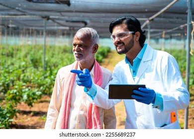 Agro scientist with senior indian farmer explaining from digital tablet at greenhouse - concept of modern agriculture, advising and technology suggestion - Powered by Shutterstock