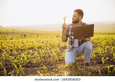 Agronomist analyzing corn crops while using a laptop in a cultivated field during a picturesque sunset, showcasing rural innovation