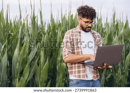 Agronomist analyzing corn crops while using a laptop in a cultivated field, combining technology and farming for better crop management