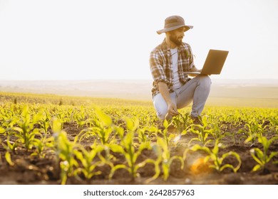 Agronomist crouching in corn field using laptop and inspecting crops at sunset, implementing modern farming techniques