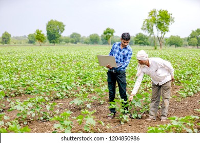 agronomist with farmer at cotton field
