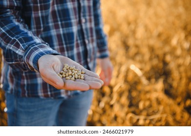 agronomist or farmer examining crop of soybeans field - Powered by Shutterstock