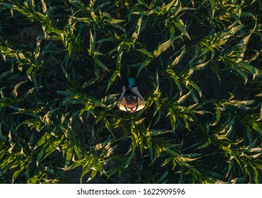 Agronomist Farmer Woman Using Tablet Computer In Corn Field. Aerial View Of Female Farm Worker In Maize Plantation With Modern Technology App Analyzing Crop Development, Top View From Drone Pov