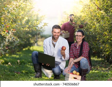 Agronomist holding apple and laptop and advising young farmer girl in orchard during harvest