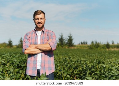 Agronomist inspecting soya bean crops growing in the farm field. Agriculture production concept. young agronomist examines soybean crop on field in summer. Farmer on soybean field - Shutterstock ID 2033473583