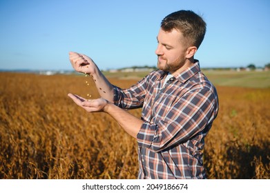 Agronomist inspects soybean crop in agricultural field - Agro concept - farmer in soybean plantation on farm. - Shutterstock ID 2049186674