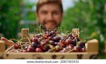 Similar – Image, Stock Photo summertime Nature Plant