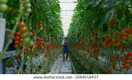 Similar – Image, Stock Photo greenhouse Greenhouse