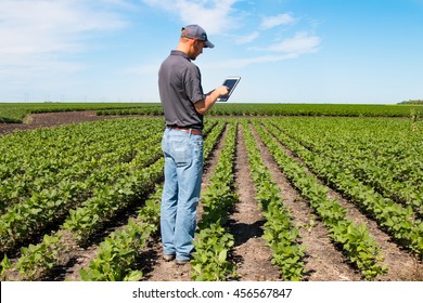 Agronomist Using A Tablet In An Agriculture Field