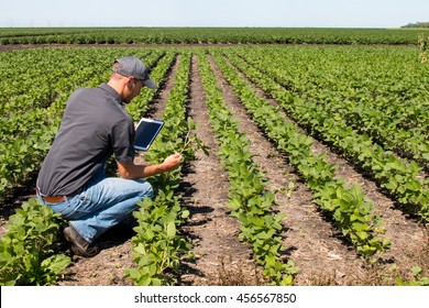 Agronomist Using a Tablet in an Agriculture Field